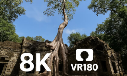 暹粒塔布隆寺庙Ta Prohm temple in Siem Reap, Cambodia（VR180）