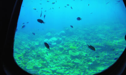 8K VR 180 Egypt Hurghada U Boat Coral reef