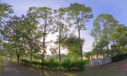8K VR 180 Malaysia Langkawi CHOGM Park never to be forgotten Interaction with cute leaf monkeys :)