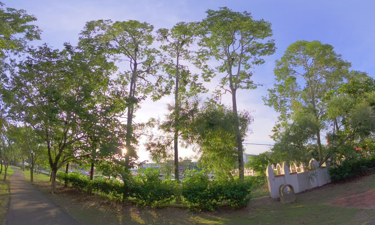 8K VR 180 Malaysia Langkawi CHOGM Park never to be forgotten Interaction with cute leaf monkeys :)