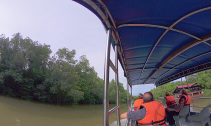 8K VR 180 Malaysia Perak near Taiping mangrove forrest with tour guide sharing his knowledge :)