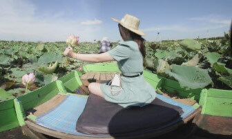 莲花农场划船Boating at Lotus Farm（VR180)
