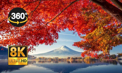 Autumn colors by the lake, Kawaguchi, Japan | 360º 8K