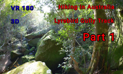 Lyrebird Gully Track, Hiking VR Video Lyrebird Gully Track, Hiking VR