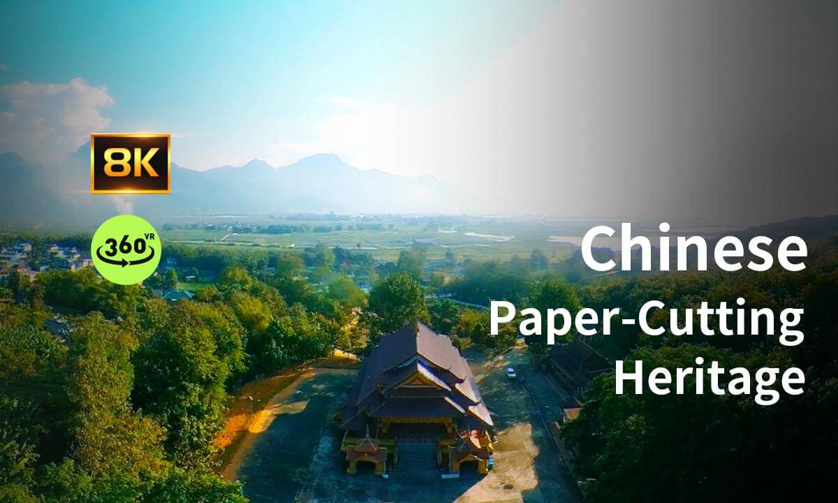 POV 360 | Chinese Paper-Cutting Heritage.(非遗记忆)