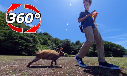 [360 Video] The rabbit that follows me is too cute.