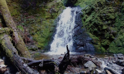 Little Mcphee Waterfall near Castlegar, British Columbia (Flat, 3d)