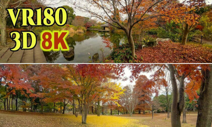 Kashiwanoha Park in Autumn, a vast urban park rich in nature in Kashiwa City, Chiba Prefecture , JAPAN
