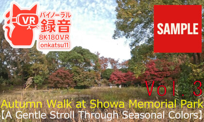 🍁[Autumn Walk at Showa Memorial Park—A Gentle Stroll Through Seasonal Colors]Chapter Three‼