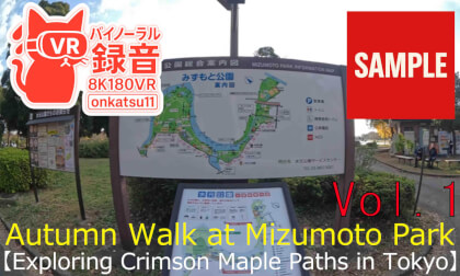 【SAMPLE】🍂 [Autumn Walk at Mizumoto Park — Exploring Crimson Maple Paths in Tokyo (8K VR180 & Binaural Audio)]