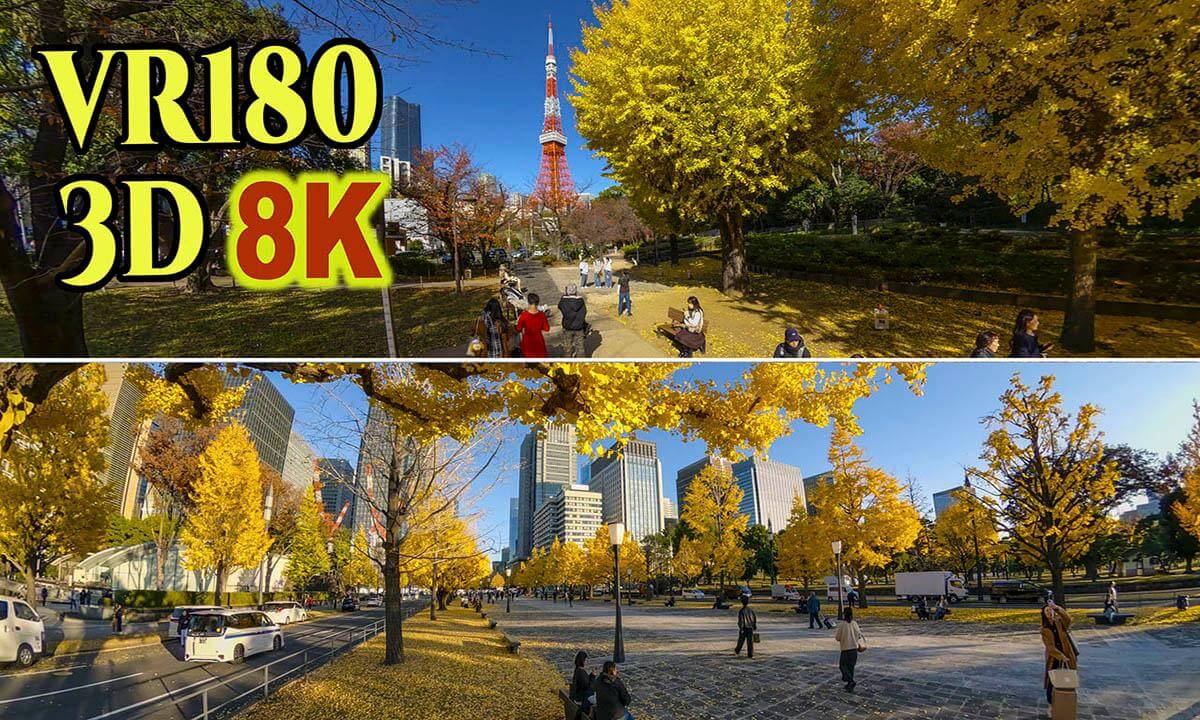 TOKYO in Autumn 2025 in JAPAN