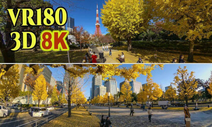 TOKYO in Autumn 2025 in JAPAN
