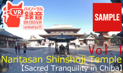 【SAMPLE】🏯Walking Through Naritasan Shinshoji Temple—Sacred Tranquility in Chiba(8KVR) Chapter One‼