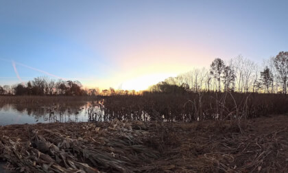 duck hunt nov 2025