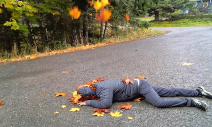 Fall Guy