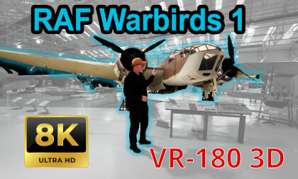 Brit Birds 180 8k