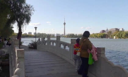 玉渊潭 中央电视塔 绿地 桥 湖东