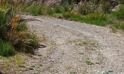 Fabero El Bierzo