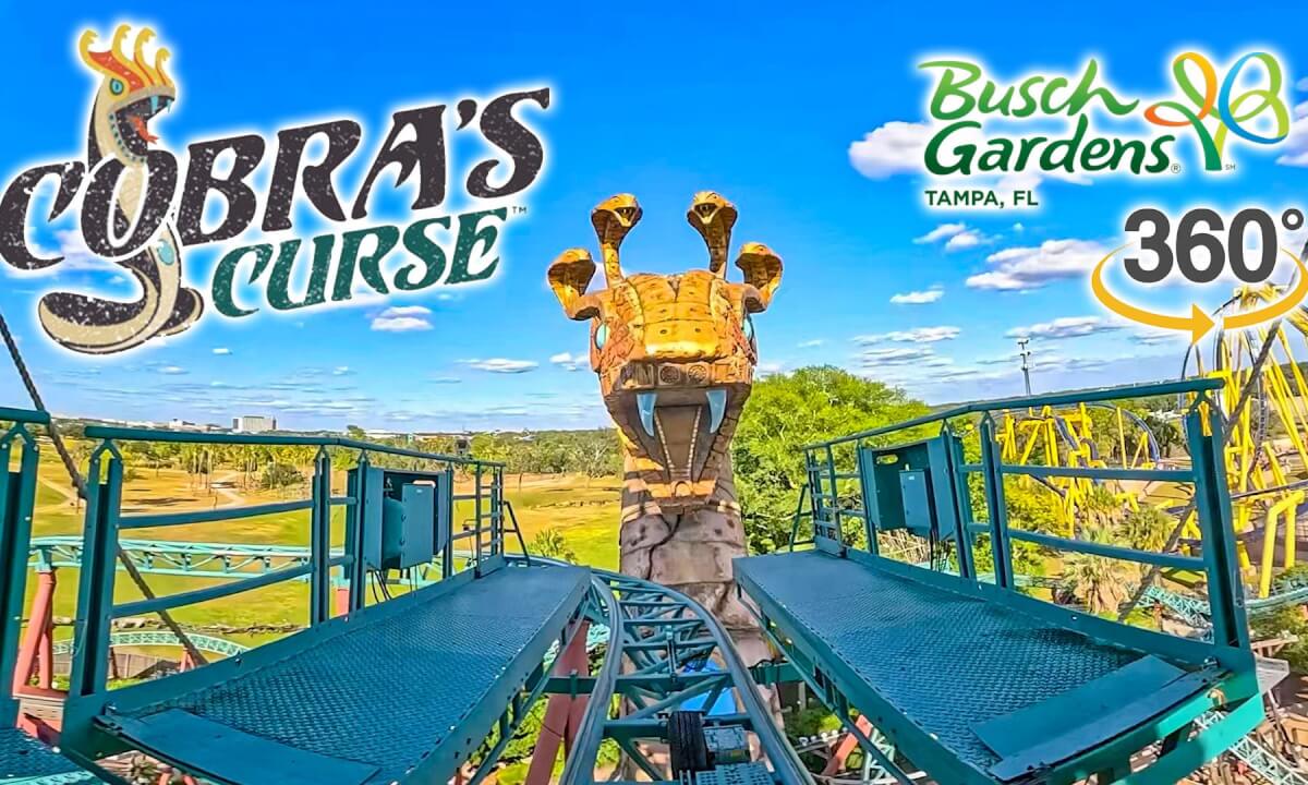 VR360 Cobra's Curse Roller Coaster On Ride Front Seat POV with Queue Busch Gardens Tampa 2025 10 16