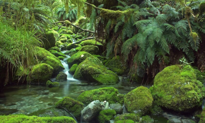 Routeburn Track with Key Summit VR Video Routeburn Track with Key Summit VR