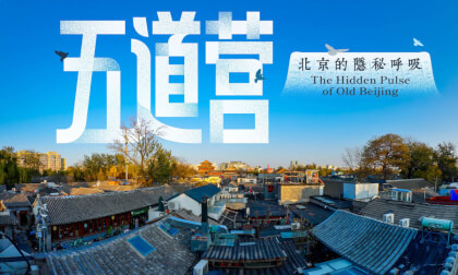 五道营 北京的隐秘呼吸 The Hidden Pulse of Old Beijing