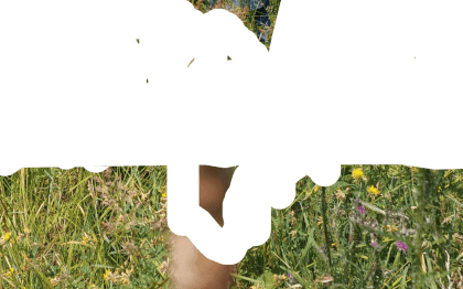 Papa n'est jamais là (7)