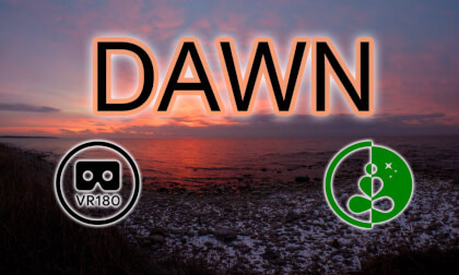 Lake Shoreline at Dawn | Relaxing VR180 Nature Experience