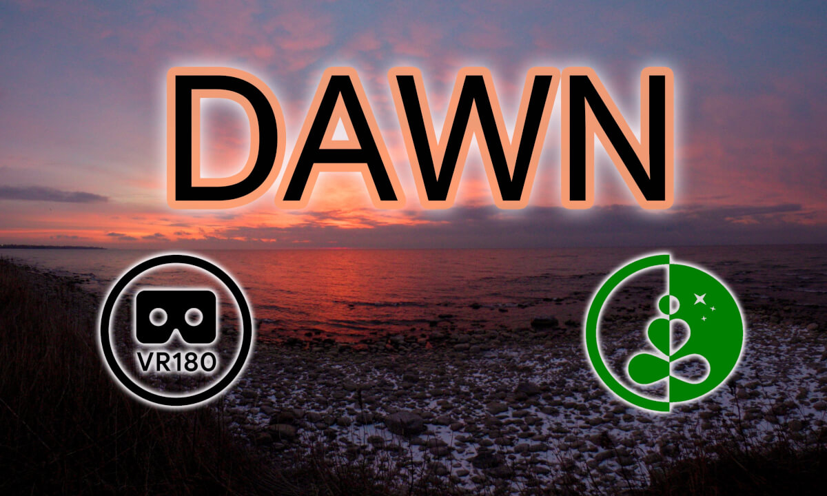 Lake Shoreline at Dawn | Relaxing VR180 Nature Experience