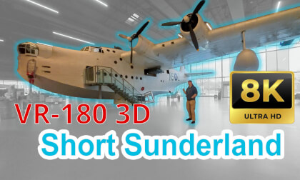 Shorts Sunderland