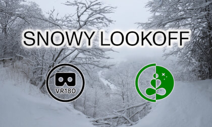 Snowy Forest Ravine Lookoff | Relaxation & Calm Ambience