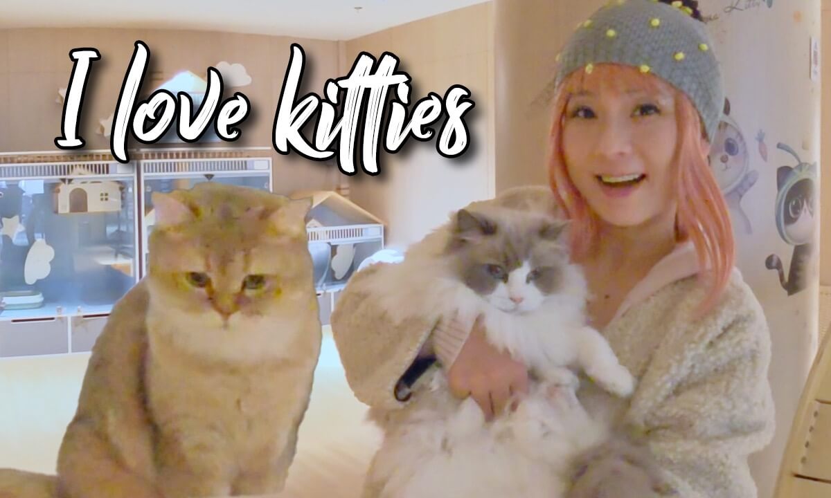 Come quickly! What an adorable cat — who's cuter, me or it?