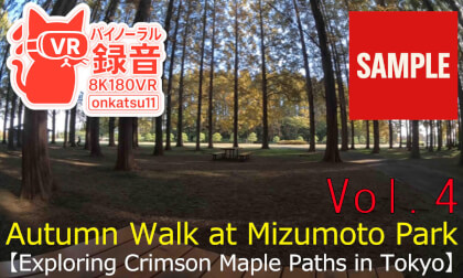 【SAMPLE】🍂[Autumn Walk at Mizumoto Park—Exploring Crimson Maple Paths in Tokyo(8K VR180)]Chapter Four‼