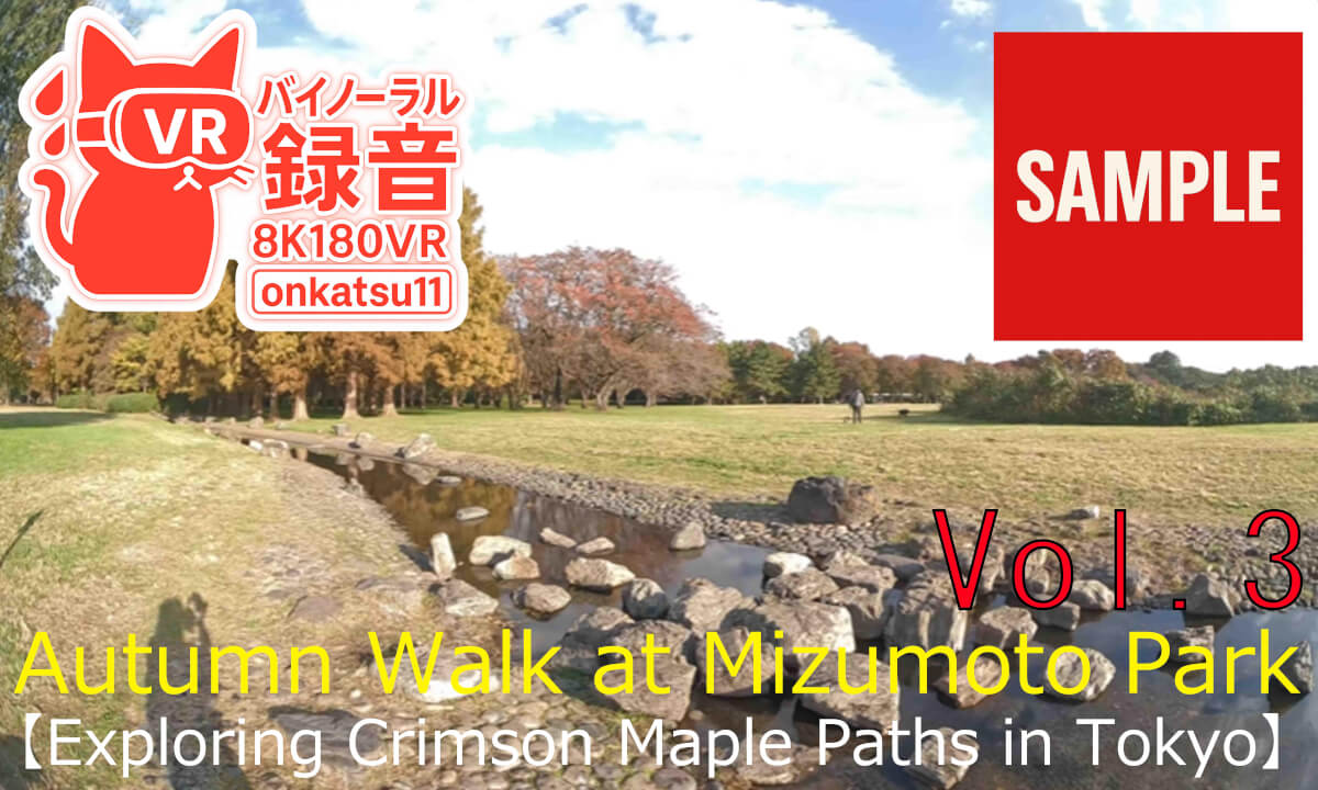 【SAMPLE】🍂[Autumn Walk at Mizumoto Park—Exploring Crimson Maple Paths in Tokyo(8KVR180)]Chapter Three
