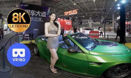 Showstopping cars & models