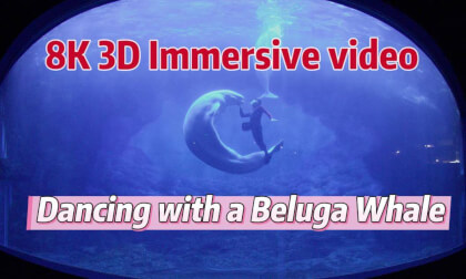 8K Immersive Video-Beluga