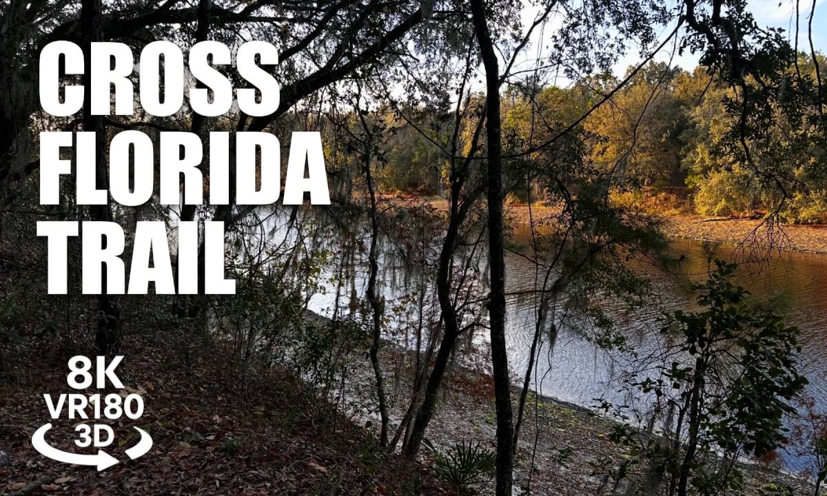 Cross Florida Trail Hike 180VR 8K 3D | Rodman Campground | Palatka FL | VR视频 8K 3D動画 VR旅行