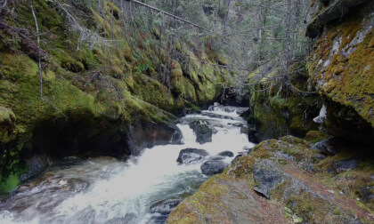 Moss Canyon (Flat, 3d)
