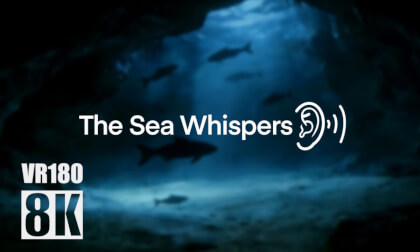 Immersive Short Film | The Sea Whispers