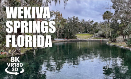 Wekiva Springs State Park Orlando Florida VR180 8K 3D | Hot Springs Walk Kayak Launch VR视频 3D動画 VR旅行