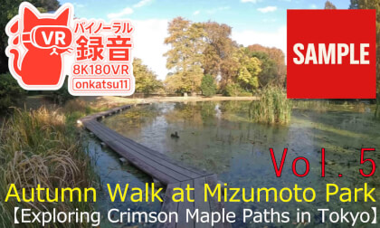 【SAMPLE】🍂[Autumn Walk at Mizumoto Park—Exploring Crimson Maple Paths in Tokyo(8K VR180)]Chapter Five