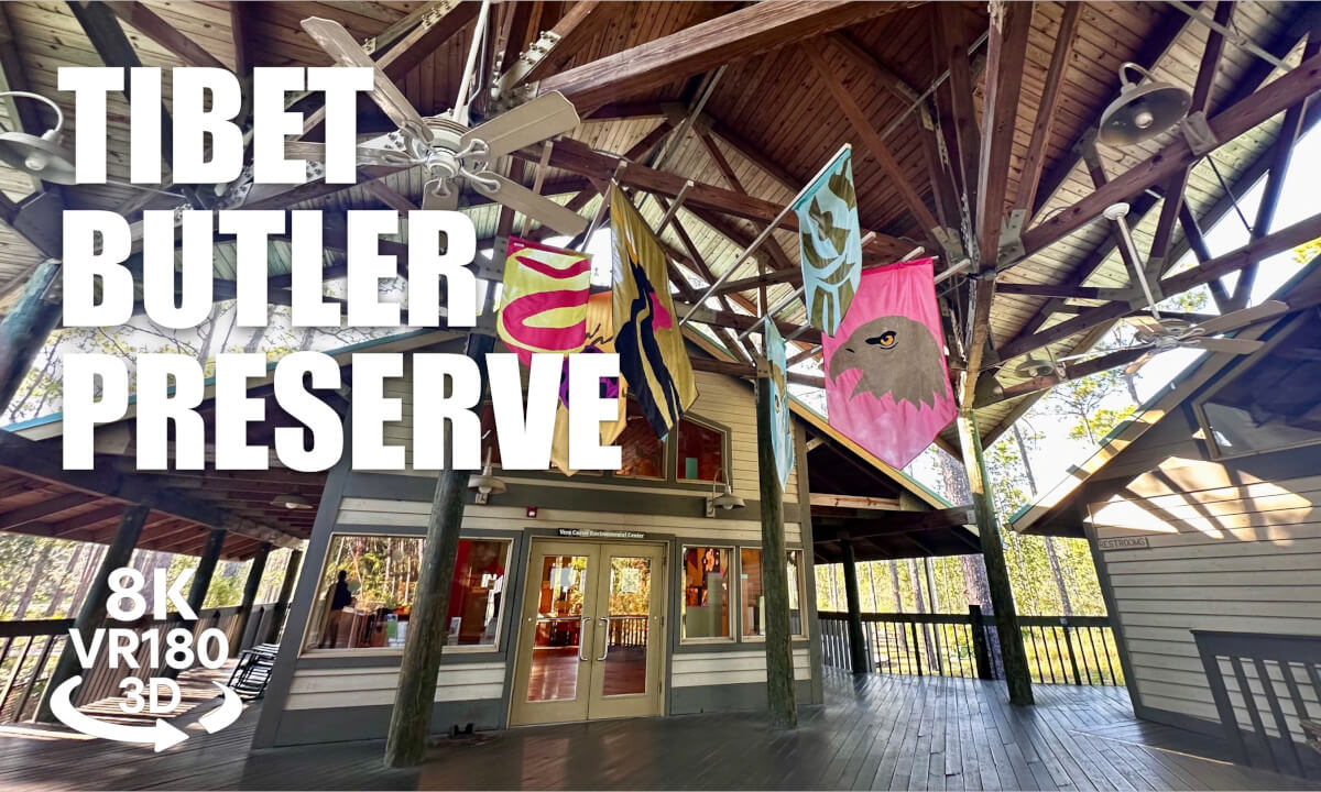 Tibet Butler Nature Preserve 180VR 8K 3D | Orlando FL | Pine Loop & Scrub Trail | VR视频 8K 3D動画 VR旅行