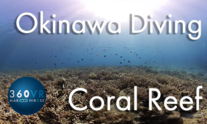 Okinawa Diving -Travel JAPAN- [ Swim over the Coral Reef ]