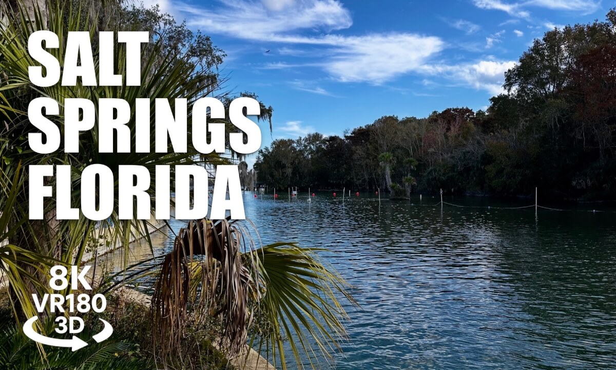 Salt Springs Recreation Area 180VR 8K 3D | Ocala National Forest Florida Springs | VR视频 8K 3D動画 VR旅行