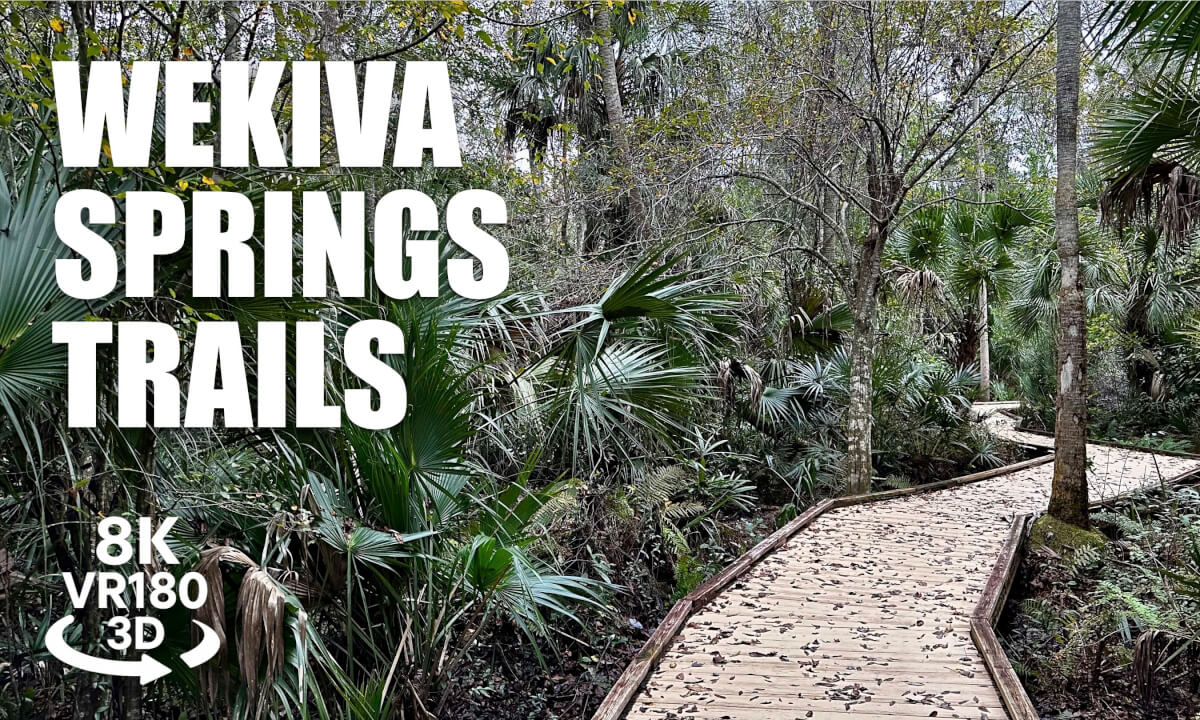 Wekiva Springs State Park Trails VR180 8K 3D | Sand Lake Loop, Boardwalk, Forest Hike VR视频 3D動画 VR旅行