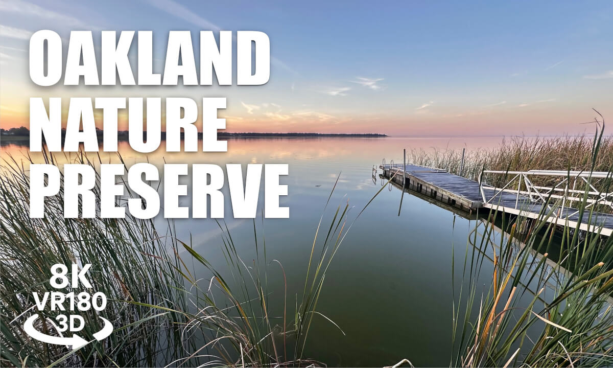 Oakland Nature Preserve Sunset 180VR 8K 3D | Lake Apopka Golden Hour | VR Tour | VR视频 8K 3D動画 VR旅行