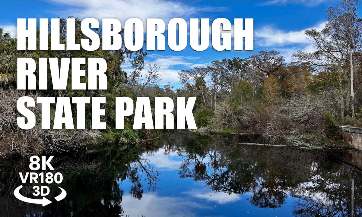 Hillsborough River State Park Hike & Rapids VR180 8K 3D | Florida River Trails | VR视频 8K 3D動画 VR旅行