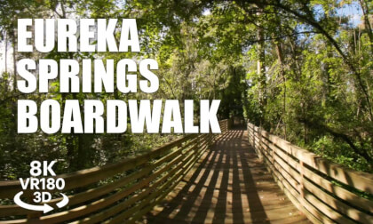 Eureka Springs Boardwalk VR180 8K 3D | Tampa FL Gardens, Nature Trail VR Walk | VR视频 8K 3D動画 VR旅行