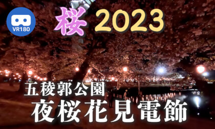 [VR180]Goryokaku Park Night Cherry Blossom Viewing Light Decorations 2003