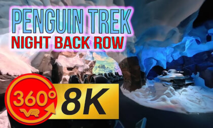 Penguin Trek – 8K 360° VR POV | SeaWorld Orlando | Insta360 X5