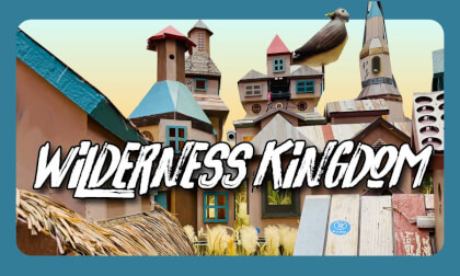 Wilderness Kingdom